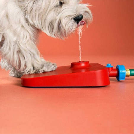 Distributeur d'eau pour chien