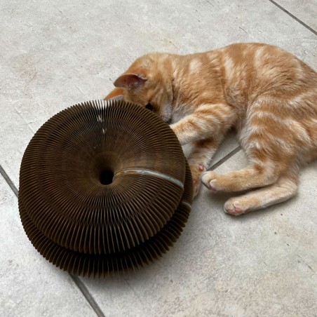 Jouet griffoir en carton