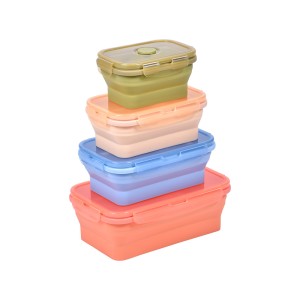 Lot de 4 boîtes de stockage alimentaire