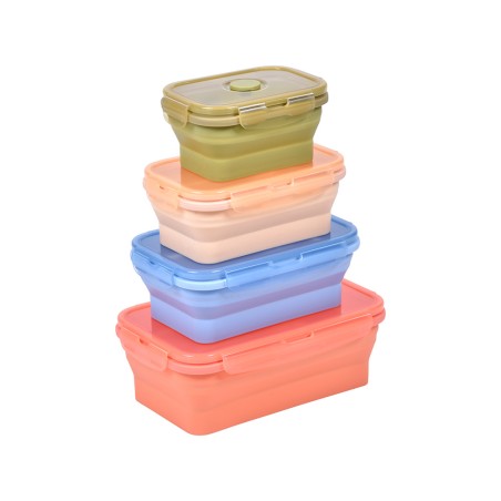 Lot de 4 boîtes de stockage alimentaire