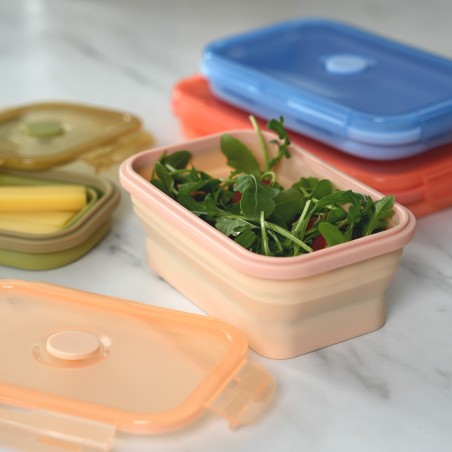 Ensemble de 4 boîtes de rangement alimentaire