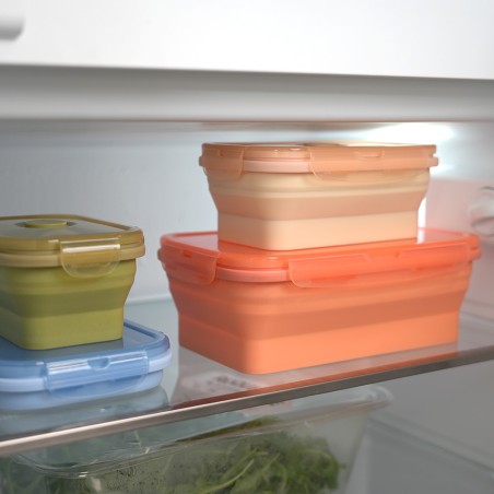 Restes conservés au frigo dans boîtes alimentaires en silicone