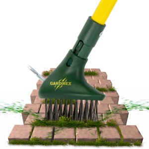 Brosse à désherber