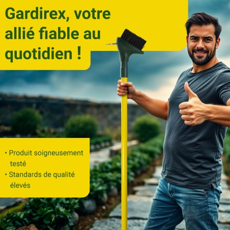 Brosse jardin pour désincruster