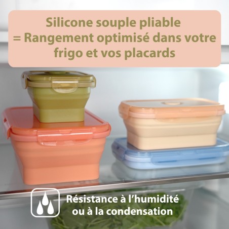 Repas conservés au frigo dans boîtes alimentaires durables