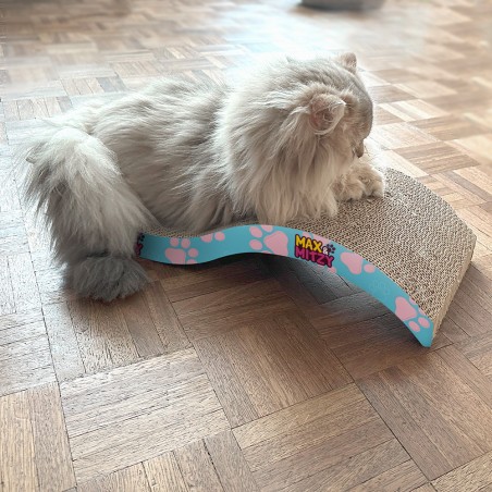 griffoir et espace détente pour chat