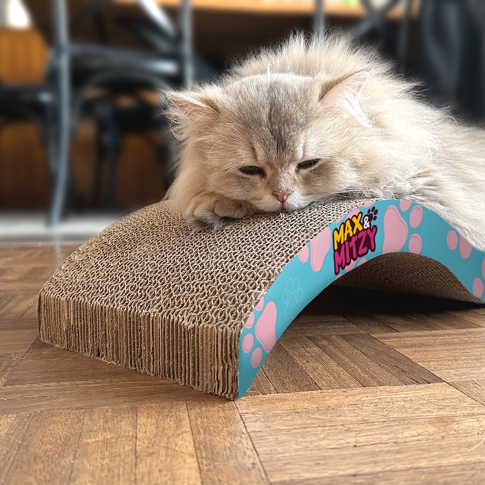 griffoir à chat féli'zen