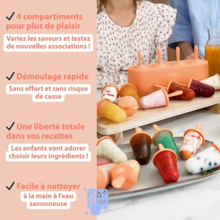 Sorbets maison avec moule silicone