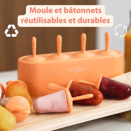 Moule à glaces avec bâtonnets ICE POP