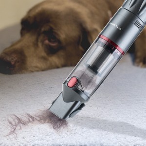aspirateur sans fil aspire poils d'animaux
