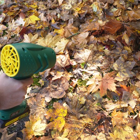petit souffleur de jardin rechargeable