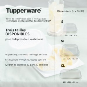 Boîte à fromage Tupperware
